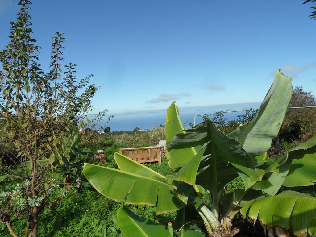 Finca Cueva Del Viento Icod De Los Vinos Room photo